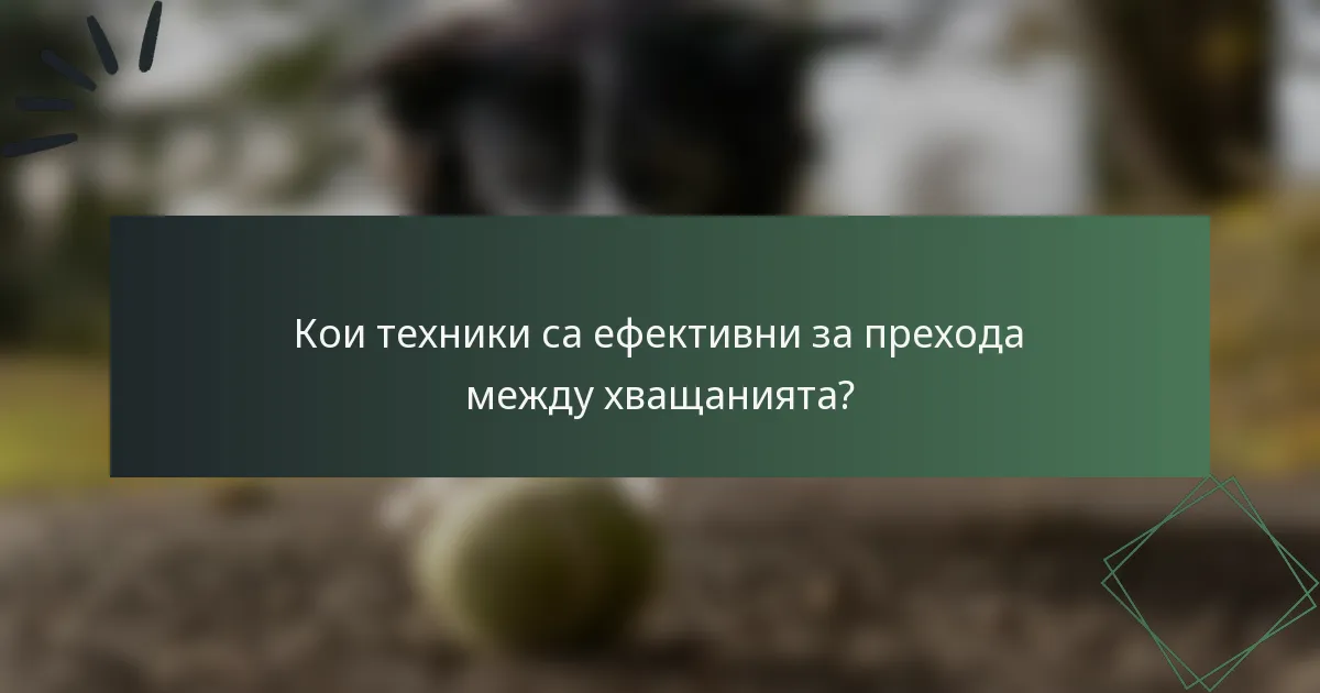 Кои техники са ефективни за прехода между хващанията?